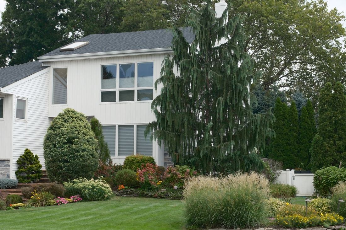 Planting beds edged and kept along a house front
