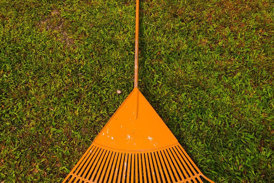 Fall cleanup