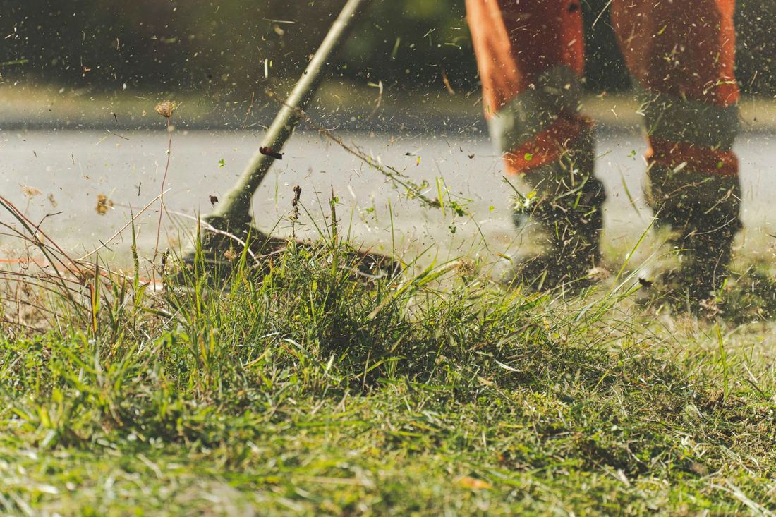 Line-trimming the edge of a lawn